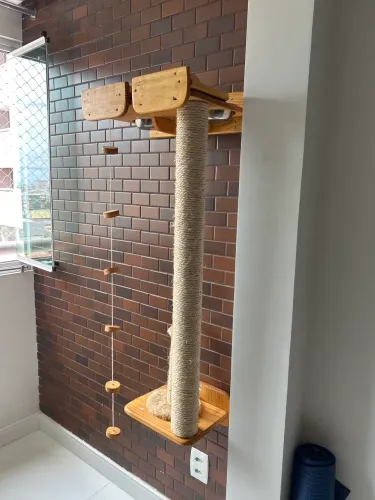 Playground de GATO
