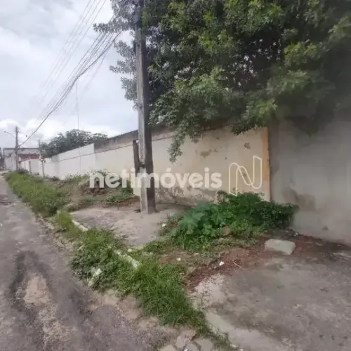 Terreno excelente para venda 10x14 no Conjunto Jardim Sucupira, bairro Baraúnas