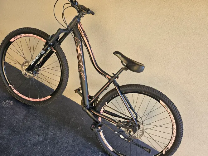 Bicicleta Aro 29 (21 marchas Shimano)