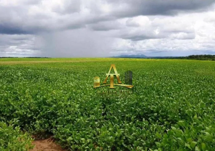 Fazenda à Venda na Região de Carolina/MA