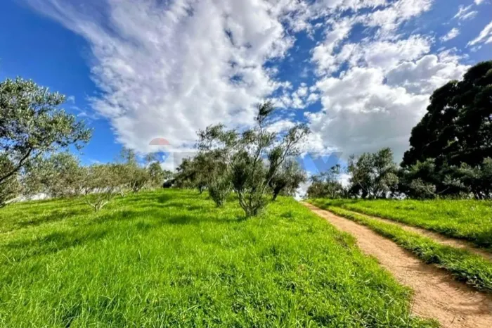 VENDO TERRENO RURAL Senador Amaral MG -SUL DE MINAS GERAIS