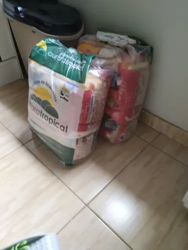 Cestas básicas