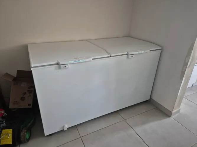 Freezer Electrolux 2 tampas