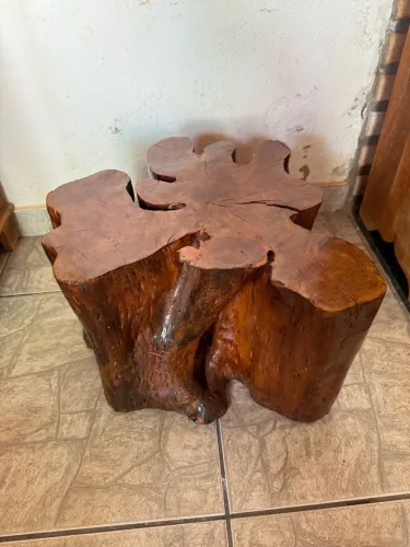 Tronco de árvore desconhecida decorativa 