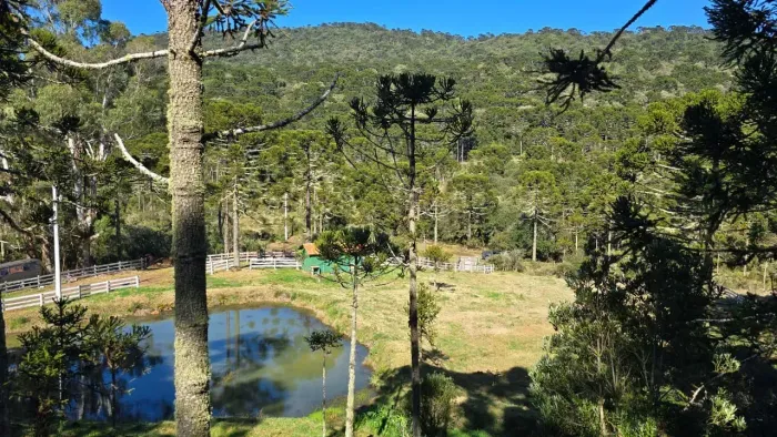 Oportunidade! 3 hectares na serra catarinense !