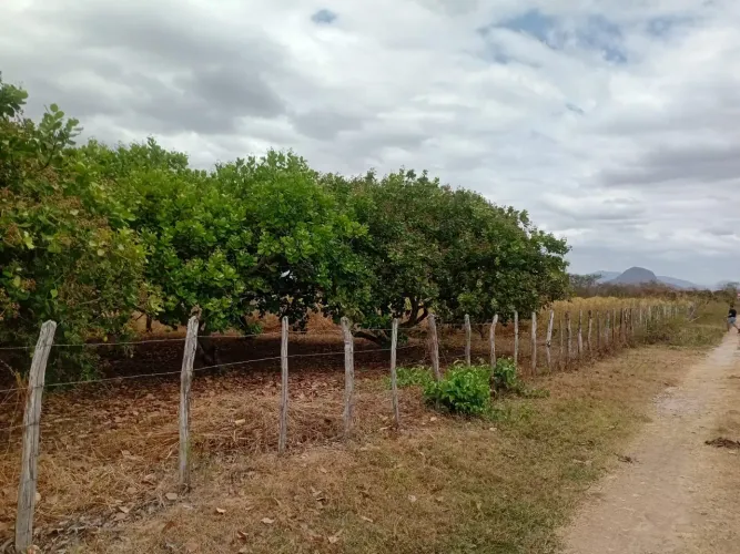 VENDO TERRENO EM SITIOS NOVOS CAUCAIA