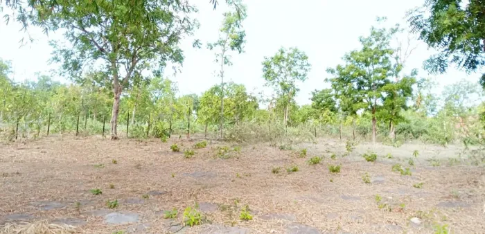 Um terreno na praia 