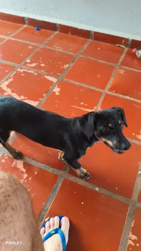 Doação Responsavel