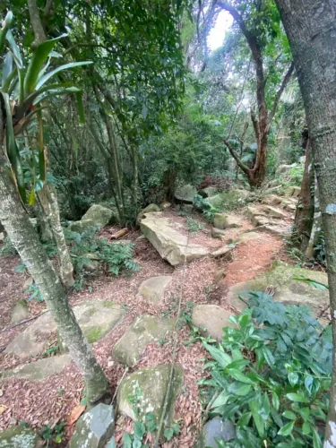 Terreno na praia da solidão!
