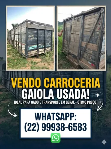Gaiola boiadeira truck
