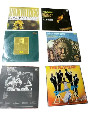 Lote Vinil clássico