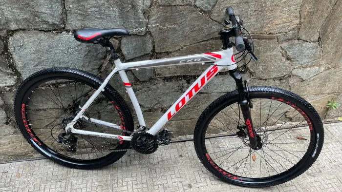 Bicicleta lótus mtb 29