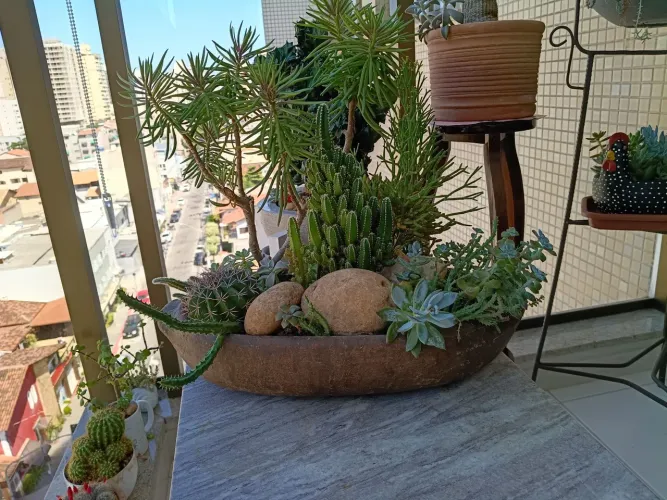 Planta 