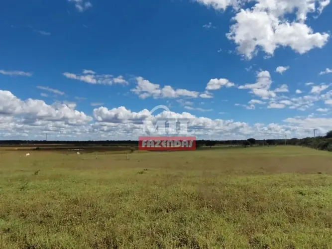 Fazenda 3.000 hectares Buritirama - Ba