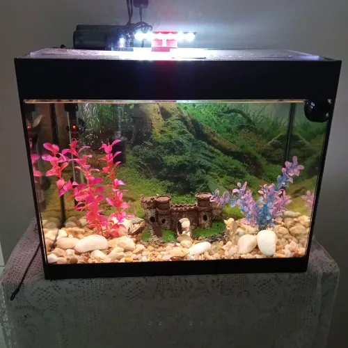 Aquário 50 litros completo