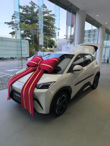 BYD Dolphin Mini (Elétrico) 2025
