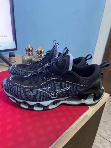 Mizuno Prophecy 13