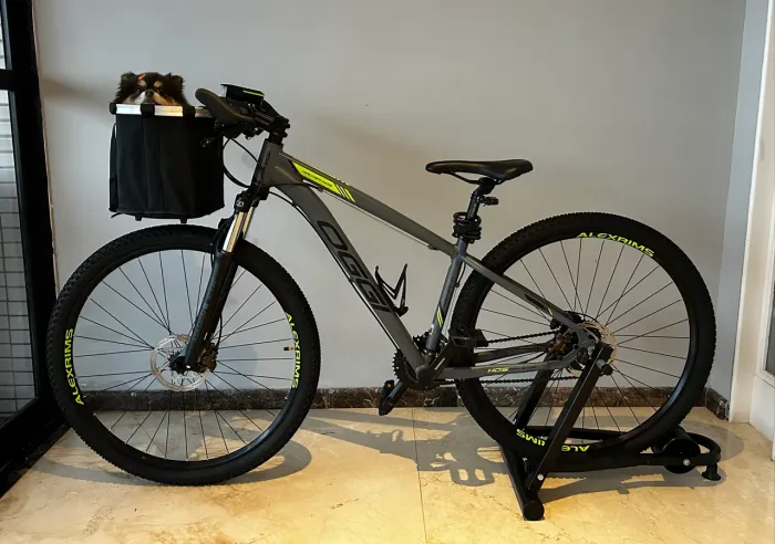 Bicicleta Oggi HDS 29 