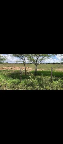 2 TAREFA DE TERRA 6 M² EM MALHADINHA 