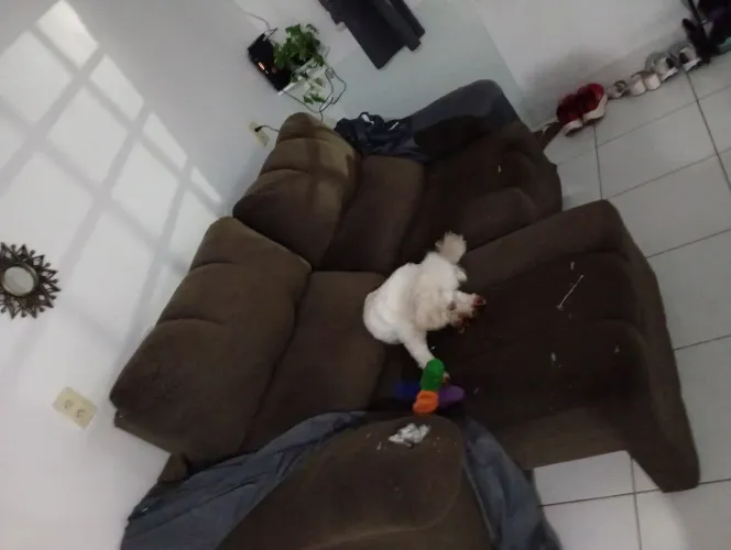 Vendo sofá retrátil de 3 lugares
