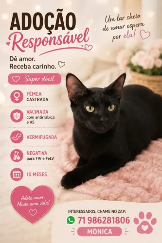 Gata 