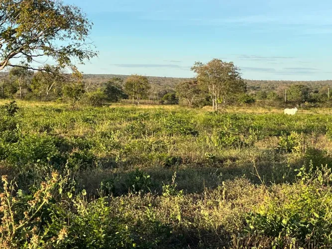 Fazenda á venda 