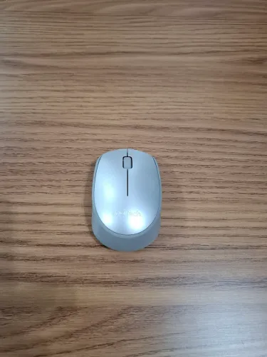 Mouse Logitech M170 - cinza e prata sem fio