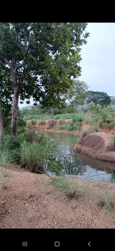 Vendo 2 chacara no sao joao 1 a 15 min do gigante atacadista em taquaralto