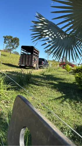 Carretinha de cavalo 2 eixo