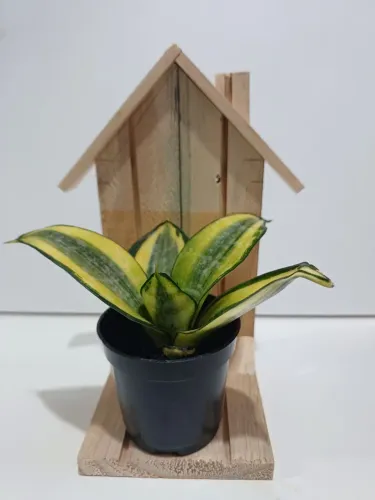Casinha Artesanal
