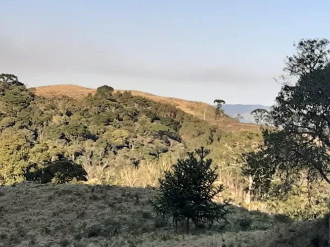 AREA RURAL COM 7 ALQUEIRES EM CUNHA SP