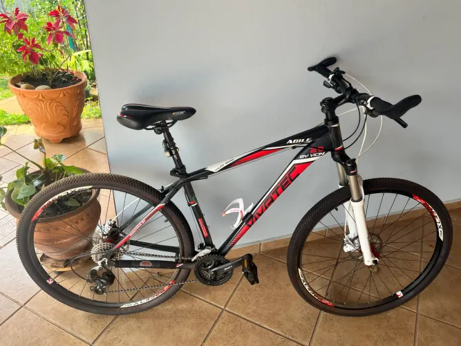 Bicicleta 29