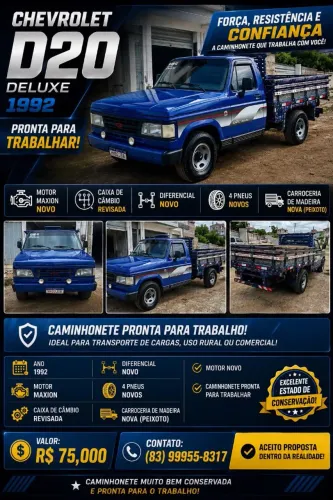Chevrolet D-20 S / Luxe 3.9/4.0 Diesel 1992