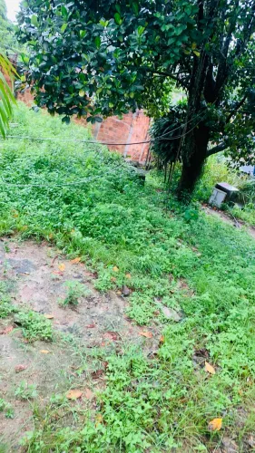 ? TERRENO À VENDA ?