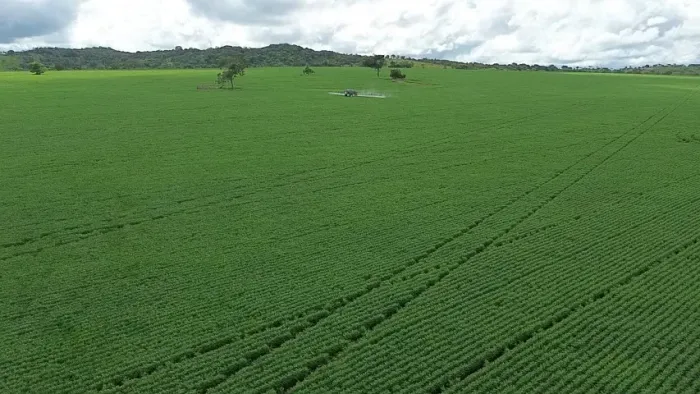 Fazenda 25 Alqueires, Terra de Cultura, Córrego, 90% Plana, 1km Rodovia, 10km Aragoiânia