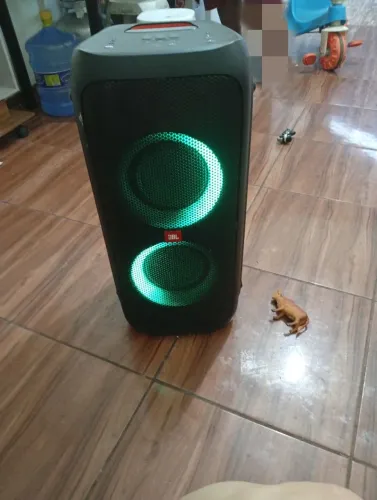 Caixa  (2 mil )PARTYBOX 310 