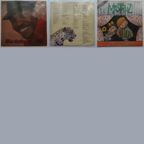 Lote de discos de vinil