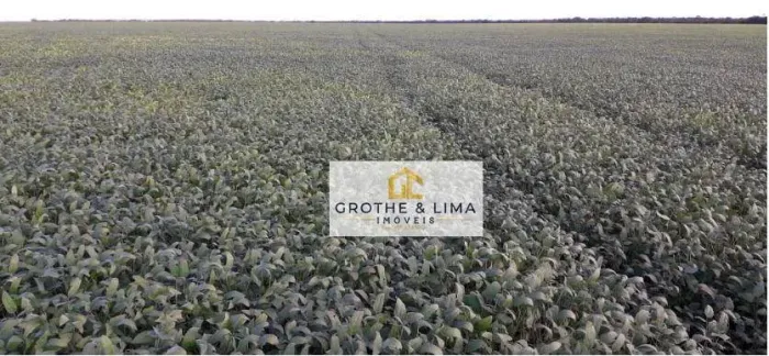 Excelente fazenda de 11.221 hectares à venda na região do Vale do Araguaia-TO entre Marian