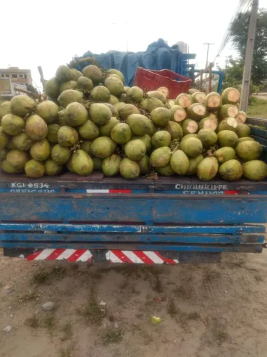 Vaga para motorista