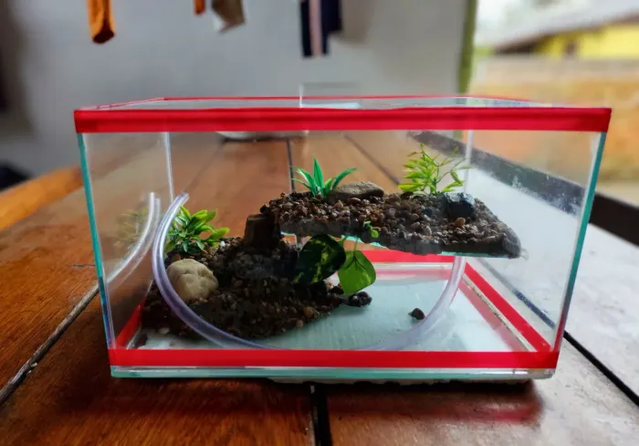 Aquário 5 litros peixes ou tartaruga
