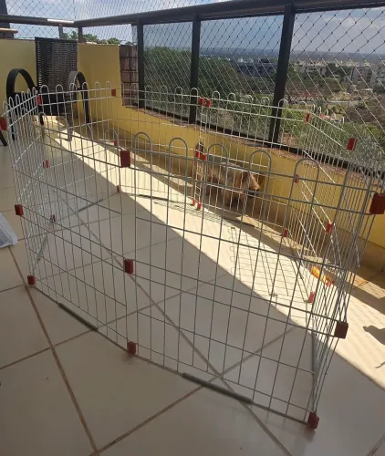 Cercado de pet pequeno porte