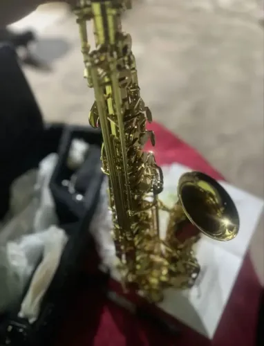 Sax alto shelter