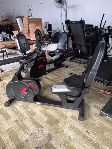 Bicicleta Horizontal Profissional 367 SX Embreex - Seminova