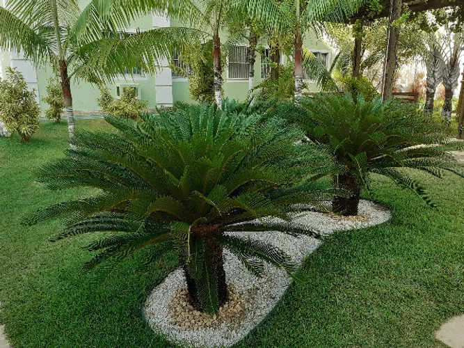 Procuro Costa Atlântica 1 quarto preço bom liga 9 8 7 4 8 3 1 0 8 Diego9989f
