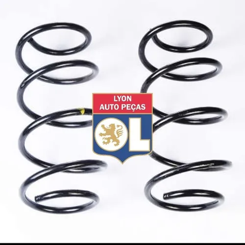Par molas suspensão dianteira Megane 2007/...