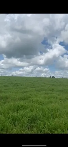 Fazendade 67 Alq. (Goiano) (326 ha) em Itaberai Go