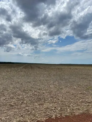 Fazenda 3.8840 hect em Sinop MT abertos 2.210 argila 30% acima R$:1.200 sacos por hect