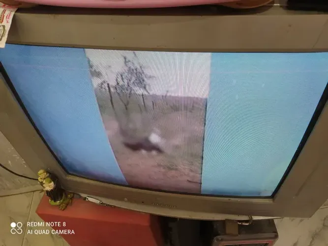 Tv LG 29 Polegadas com defeito, está em son