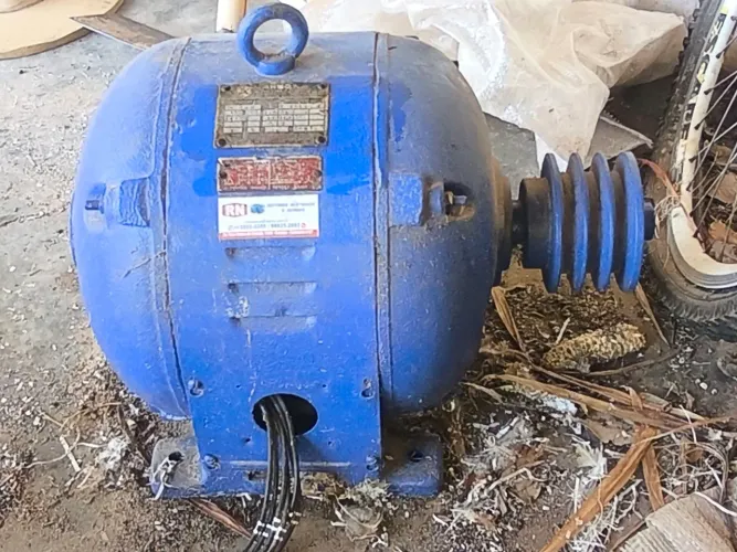 Motor 15 CV Trifásico