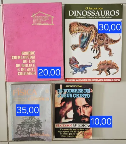 Livros em ótimo estado - Diversos temas!